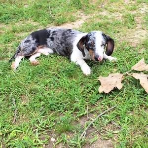 Meet your Posher, Lexie